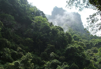 青云山白马峡谷第 11 张图片
