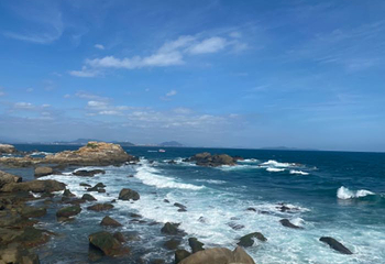 大东海第 83 张图片