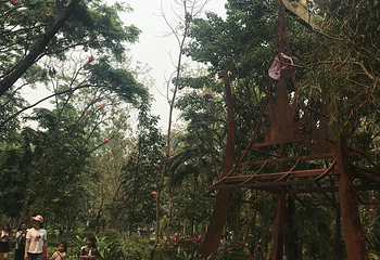西双版纳总佛寺第 25 张图片