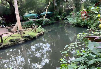 海南热带野生动植物园第 58 张图片