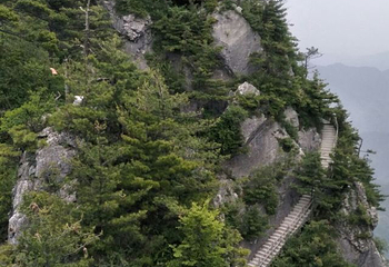 秦岭天竺山生态文化旅游景区第 69 张图片