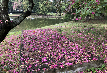 汕头大学(桑浦山校区)第 17 张图片