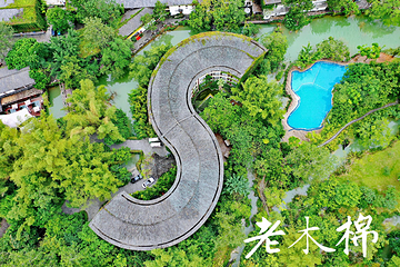 老木棉紫园第 18 张图片