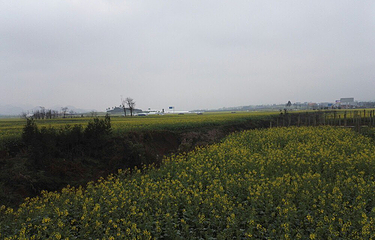 罗平航空房车露营地第 17 张图片