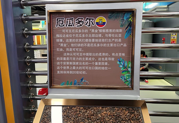 奥园英德巧克力王国度假区第 215 张图片