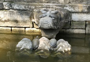 大觉寺第 31 张图片