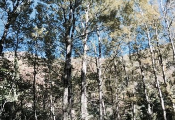 黄龙山庄旅游区第 28 张图片