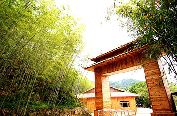 天子山瀑布景区第 47 张图片