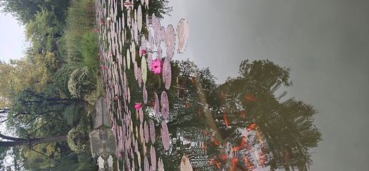 西安植物园新区第 61 张图片