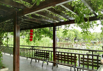 芦苇饭店第 10 张图片