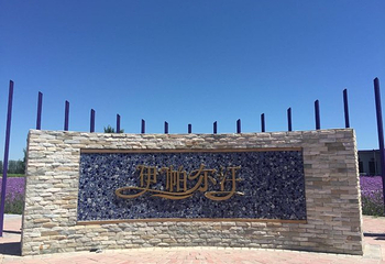 伊帕尔汗薰衣草观光园第 60 张图片