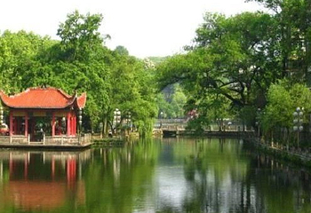 莲花塘第 8 张图片