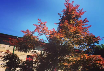 庐山恋影院(河西路店)第 23 张图片