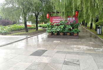 莲花湖国家城市湿地公园第 30 张图片