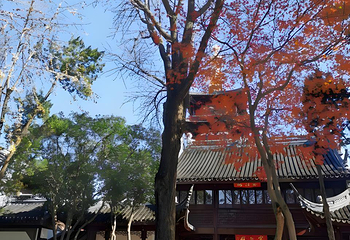 寒山寺第 190 张图片