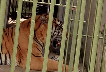 华东百畅生态休闲度假园第 9 张图片