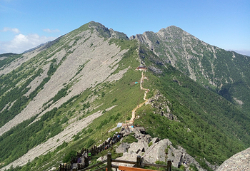 太白山国家森林公园第 50 张图片
