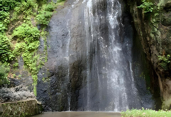 西樵山风景名胜区第 41 张图片