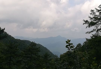 内乡宝天曼生态文化旅游区第 34 张图片