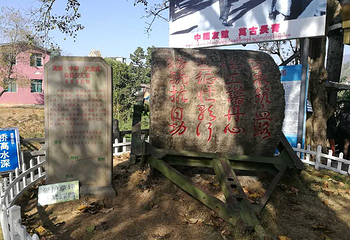 畹町桥第 16 张图片