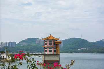 东湖公园第 15 张图片