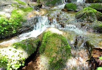 亚布力虎峰岭风景区第 76 张图片