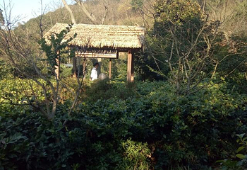 慈溪达蓬山温泉第 7 张图片
