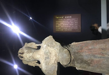 青州博物馆第 76 张图片