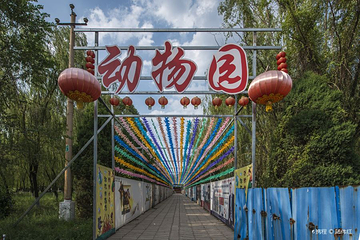 临汾市动物园第 4 张图片