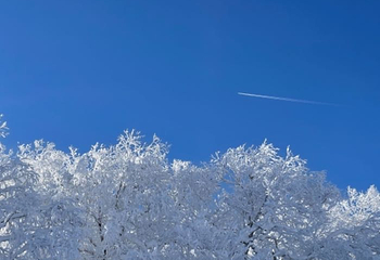 亚雪驿站十里画廊第 26 张图片