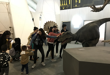 DINOLAB恐龙实验室第 25 张图片