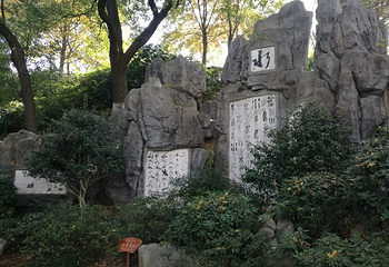 白沙井第 11 张图片