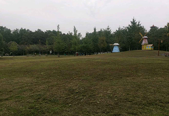解放公园第 19 张图片
