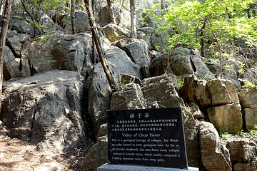 兰陵文峰山景区第 22 张图片