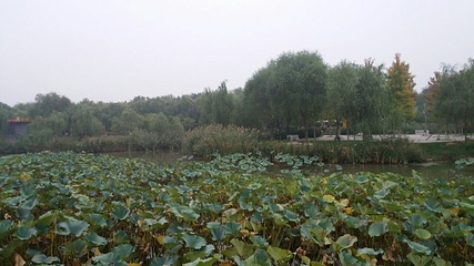 清水湾·乐汤汇都市温泉度假中心(北二环店)第 18 张图片