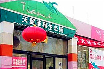 天翼草莓生态园第 5 张图片