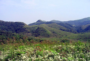 花坝旅游度假区第 21 张图片