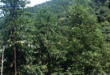 广西桂林山水高尔夫球会第 4 张图片