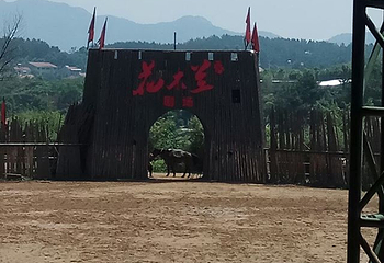花海乐园第 34 张图片