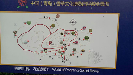 青岛香博园第 12 张图片