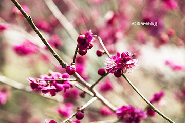 天盆风景区第 10 张图片
