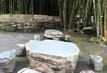 勐巴娜西珍奇园第 49 张图片