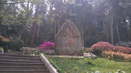 聂耳墓第 19 张图片
