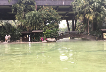 天赐华汤森林温泉(重庆璧山店)第 20 张图片