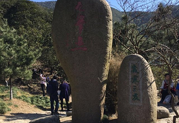 九峰山网岙景区第 20 张图片