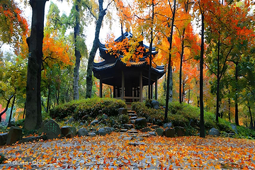 寒山寺第 172 张图片