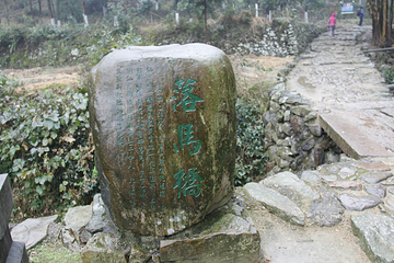 江郎山风景名胜区第 142 张图片