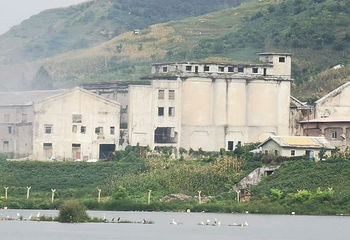 凤上线第 28 张图片
