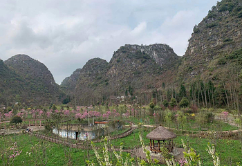 高荡千年布依古寨文化旅游景区第 43 张图片