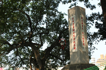 中山公园第 14 张图片